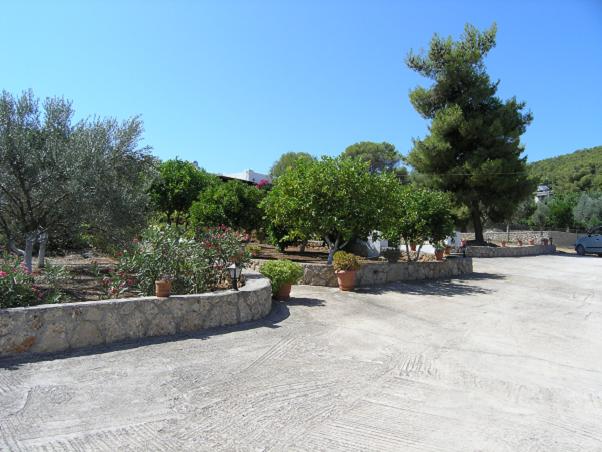 immobilier hydra