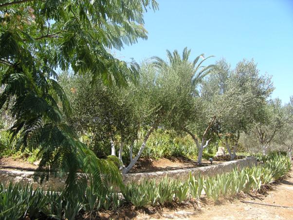 propriete a vendre grece