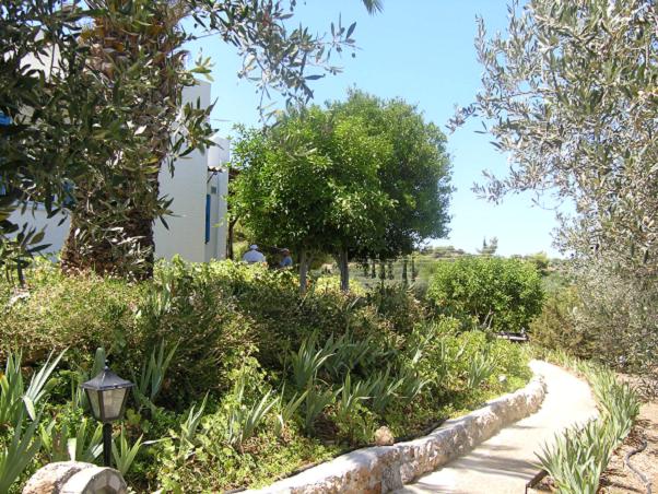 immobilier leros