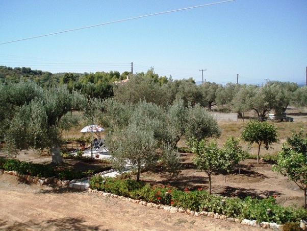 achat villa grece