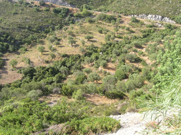 vente maison en grece