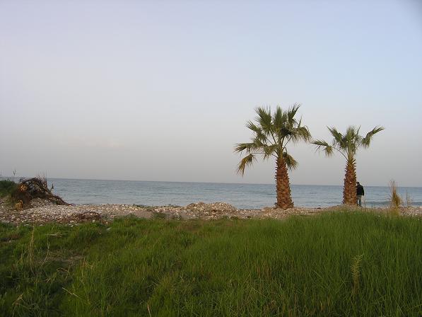 real estate crete