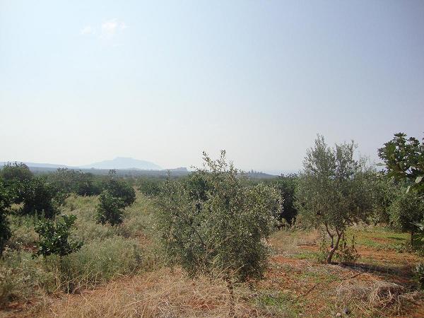 Immobilier grece : ,