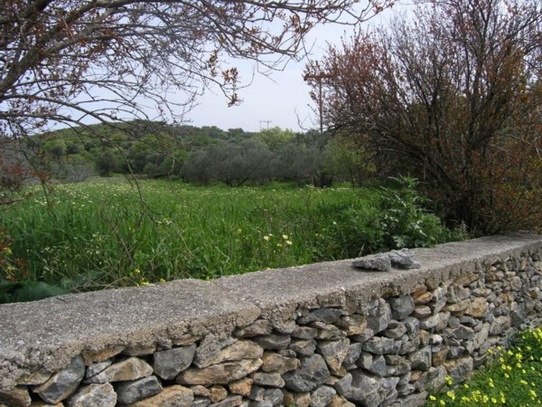 real estate crete