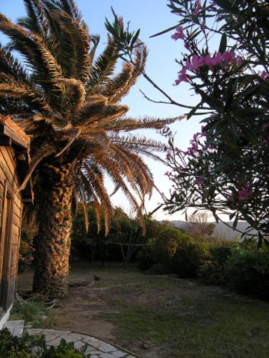maison a vendre grece