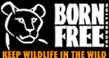 Born free Foundation