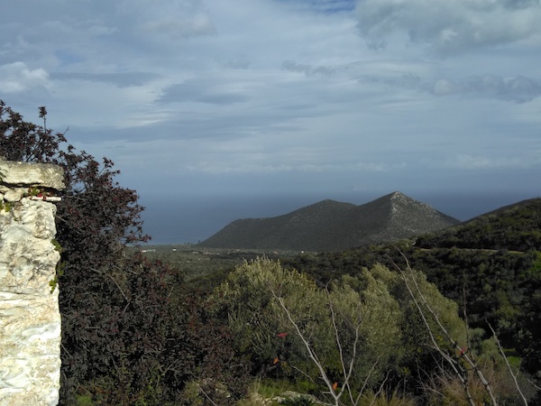 real estate peloponnese