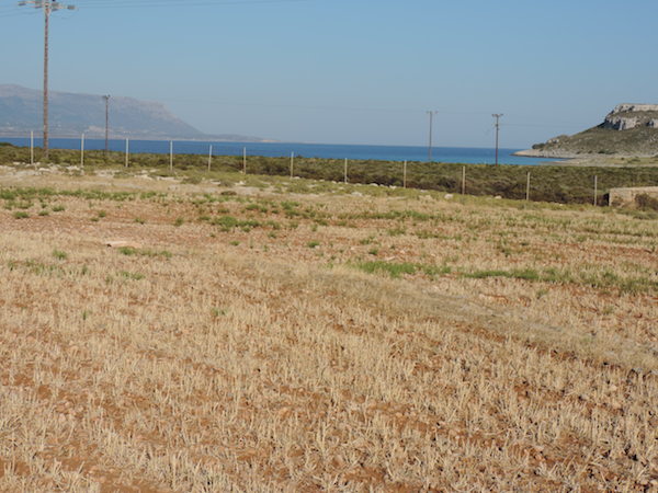 immobilier a vendre terrain Péloponnèse