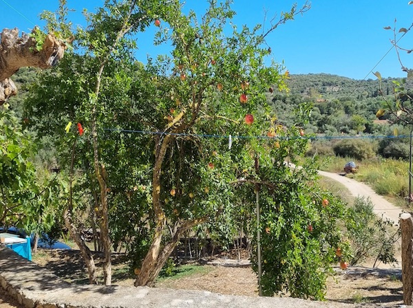 property for sale in greece