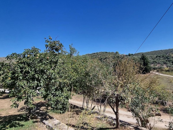 real estate cyclades