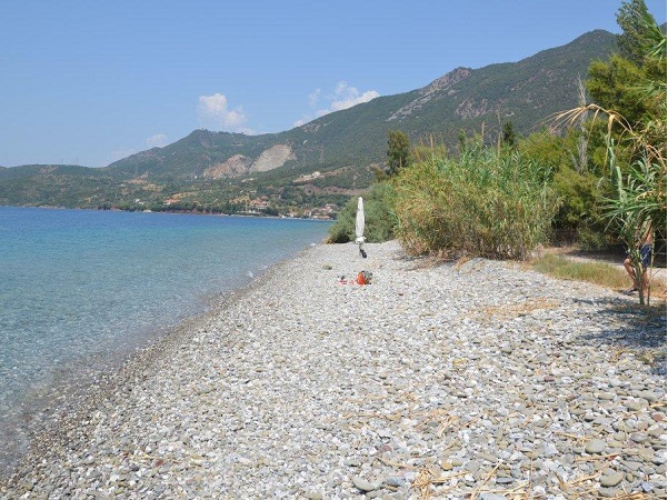 immobilier a vendre terrain Grèce occidentale